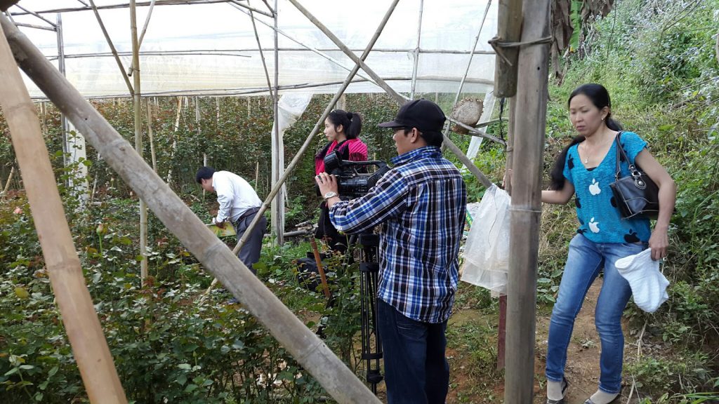 Hoa Hồng Đà Lạt tại trang trại Hoa tươi Đà Lạt Tinh Hoa đang quay phim lên sóng HTVC